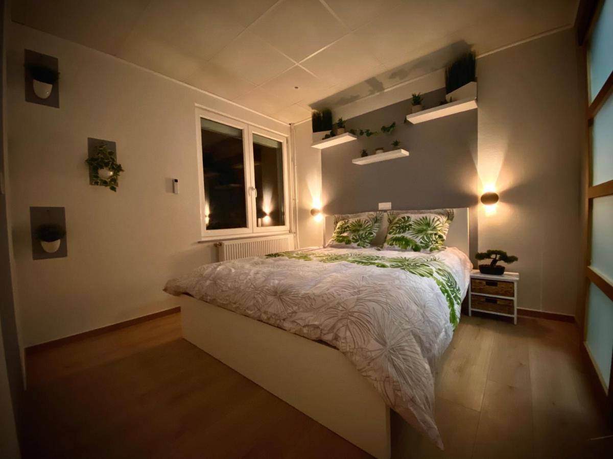 Logements Equipes A Onnaing Avec Espace Balneo En Option Proche Toyota, Autoroute Et Valenciennes Dış mekan fotoğraf